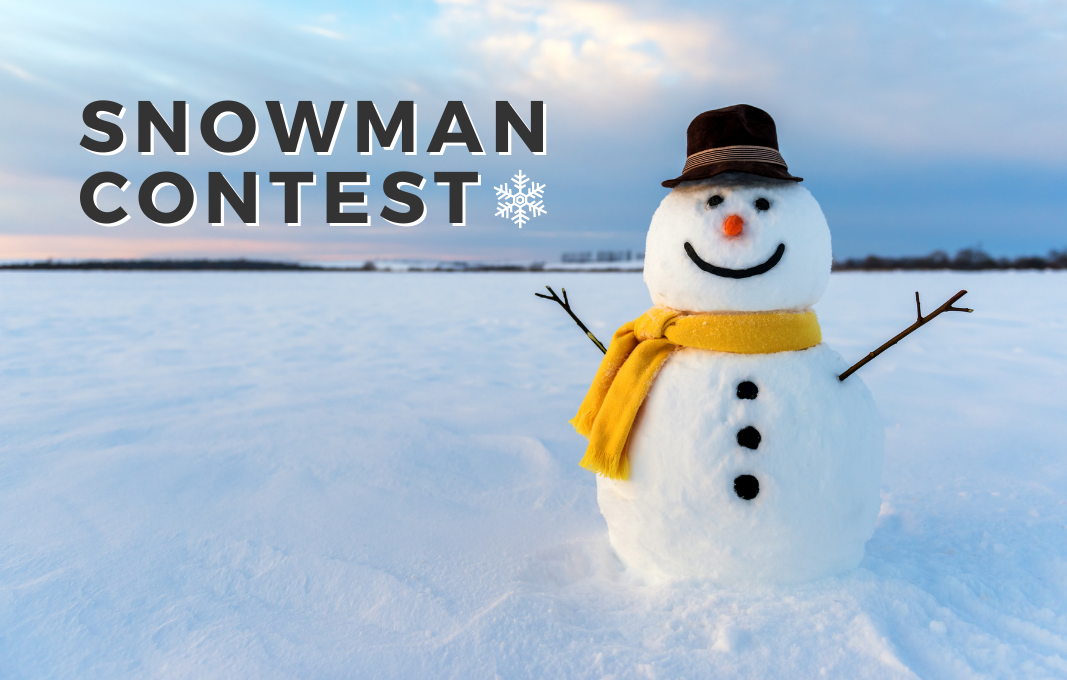 Snowman Contest University of Hradec Králové