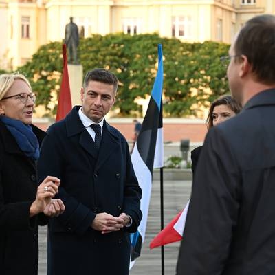Náhled obrázku