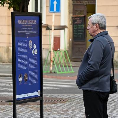Náhled obrázku