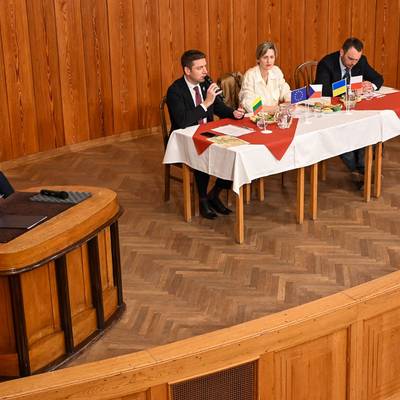 Náhled obrázku
