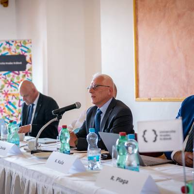 Náhled obrázku