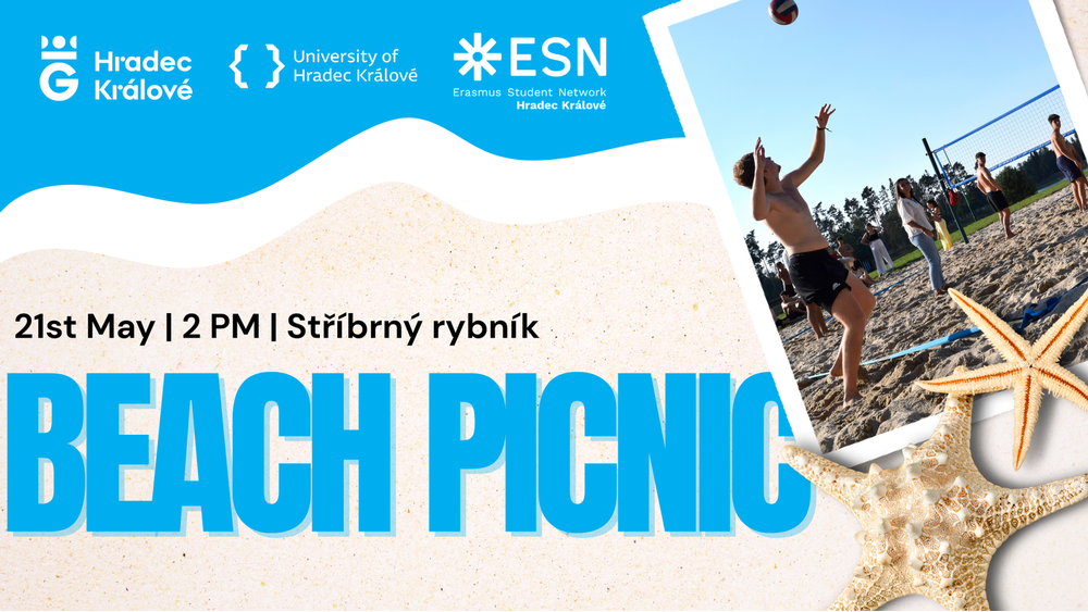 Beach Picnic invitation