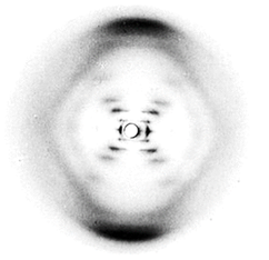 Image of DNA diffraction by Rosalind Franklin