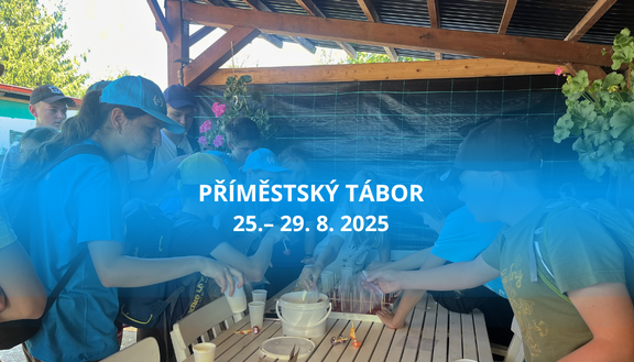Spustili jsme přihlášky na příměstský tábor FIM UHK