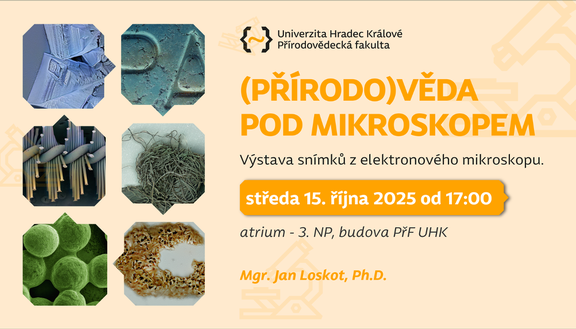 Zveme vás na výstavu snímků z elektronového mikroskopu!