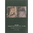 Jistebsko. Záchranný výzkum na parcele 350/1 v roce 2009