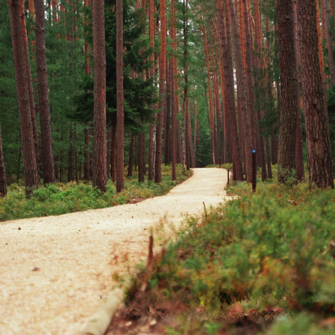 Hidden Gems around Hradec Králové