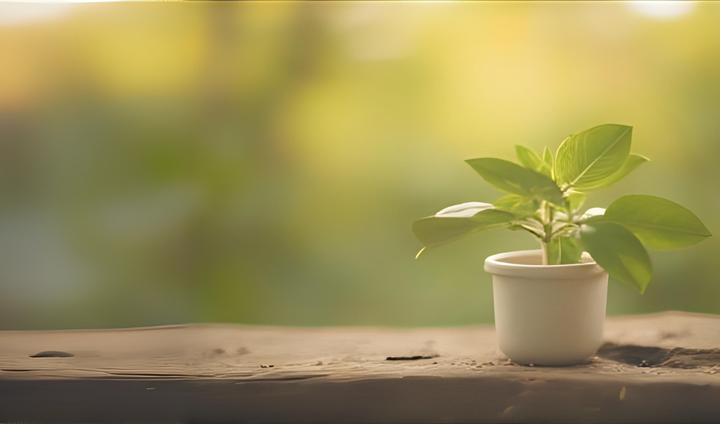 Informace pro studující doktorských programů