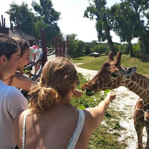 Discover Czech culture